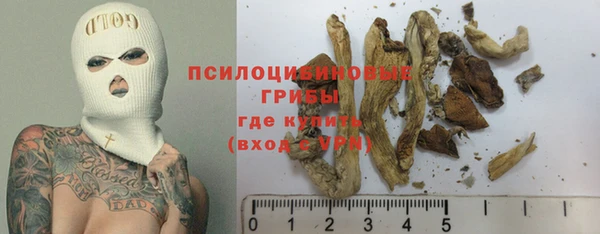 прущие крисы Зуевка