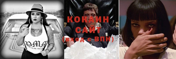 индика Ивангород
