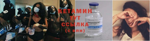 индика Ивангород