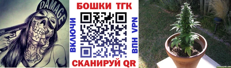 где купить наркоту  hydra как зайти  Бошки Шишки план  Нязепетровск 